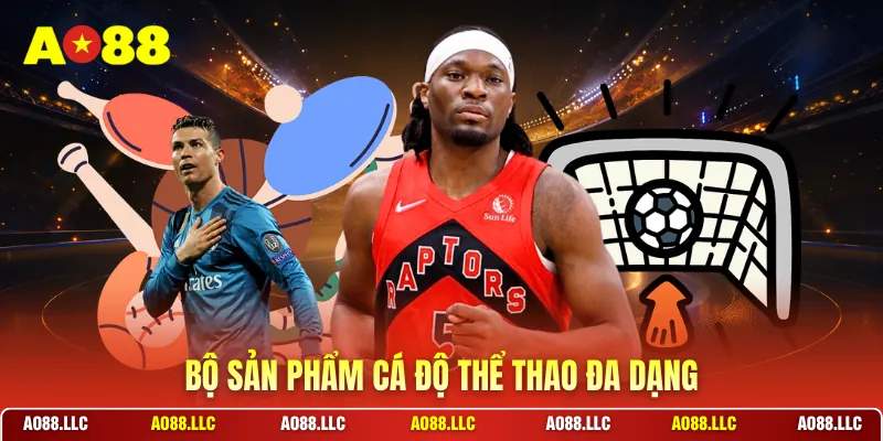 Bộ sản phẩm cá độ thể thao đa dạng