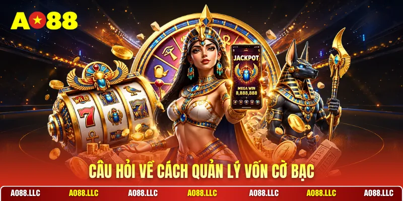 Câu hỏi về cách quản lý vốn cờ bạc