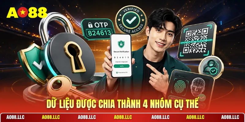 Dữ liệu được chia thành 4 nhóm cụ thể